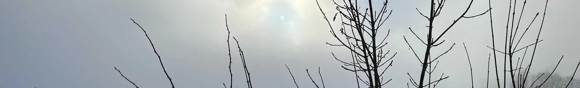 elfiga – Delphine Gay – Kinésiologue